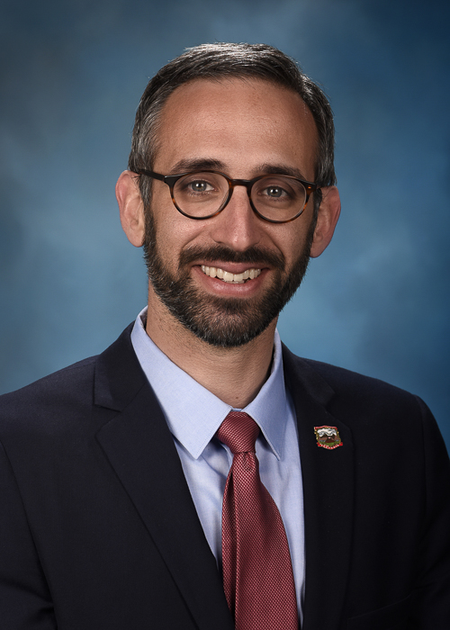 Photograph of Representative  Will Guzzardi (D)
